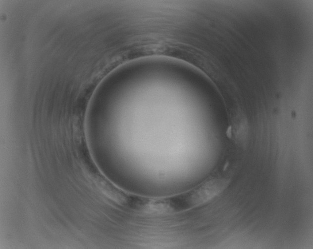 X0000052550270200507011138