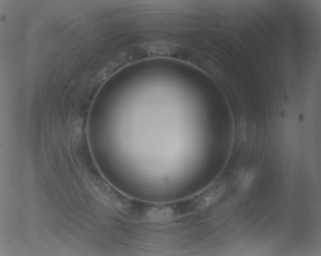 X0000052550271200507011138