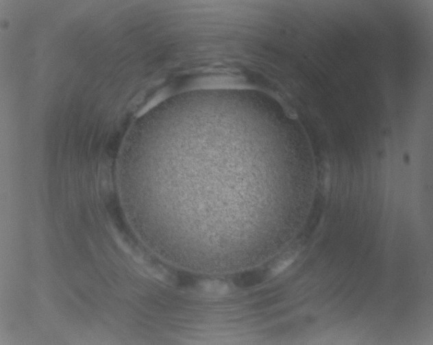 X0000052550272200507011138