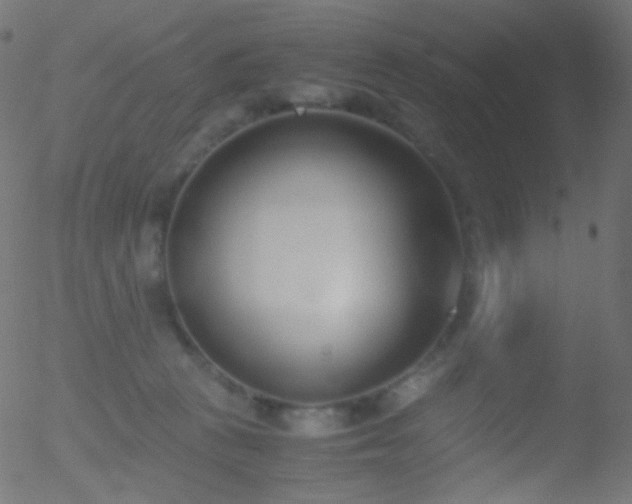 X0000052550273200507011138