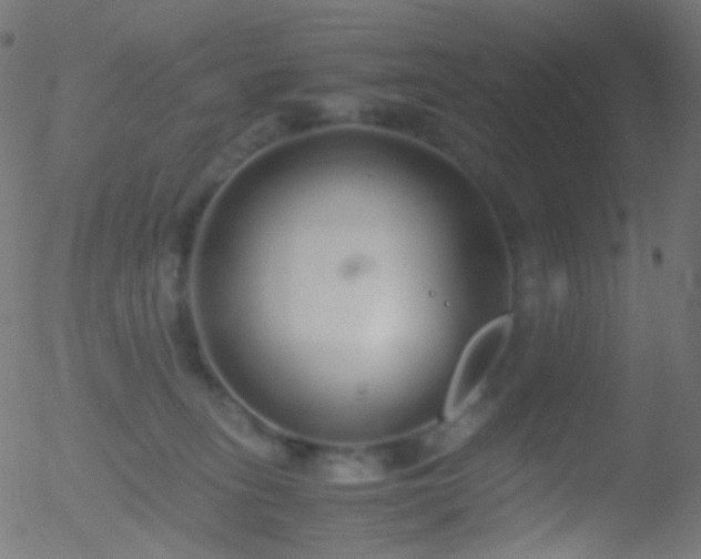 X0000052550275200507011138