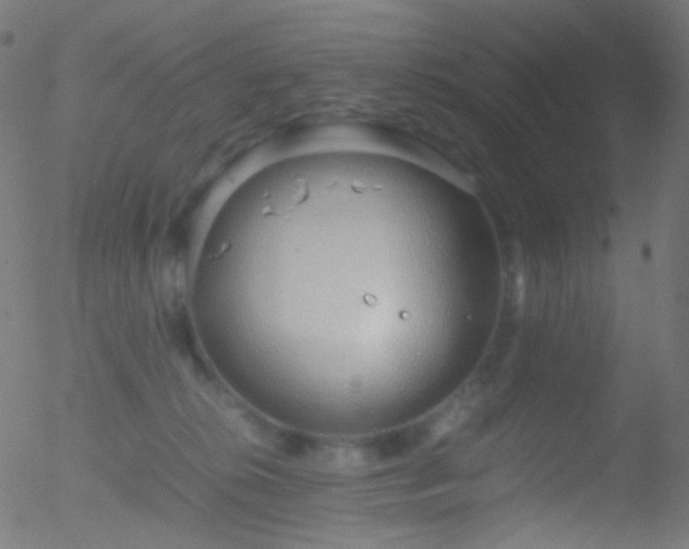 X0000052550276200507011138