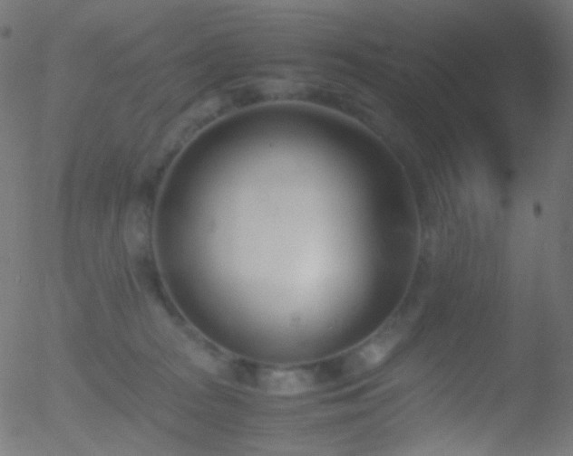 X0000052550277200507011138