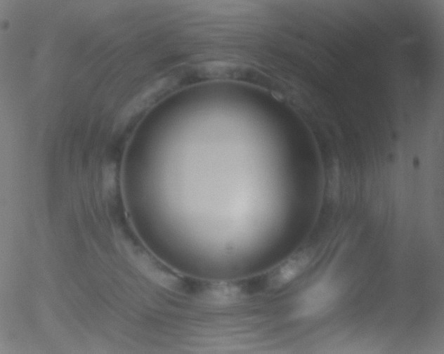 X0000052550278200507011138