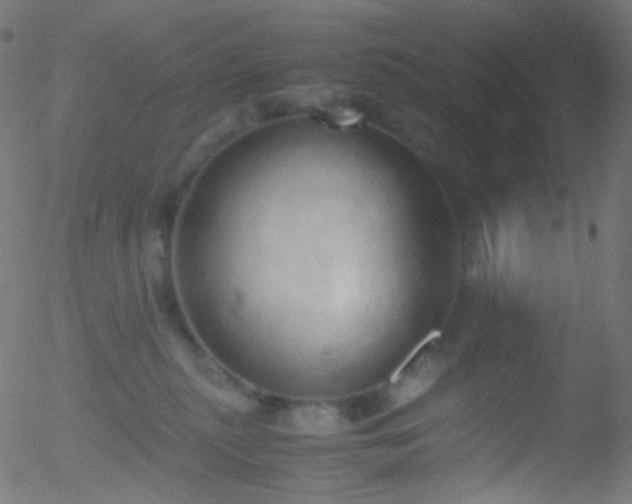 X0000052550279200507011138