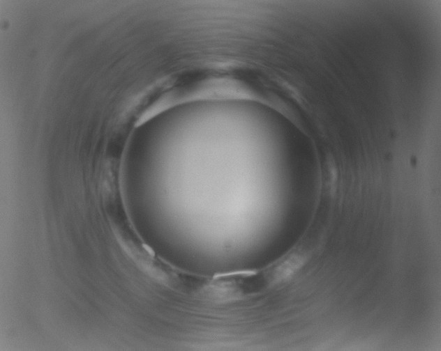 X0000052550280200507011138