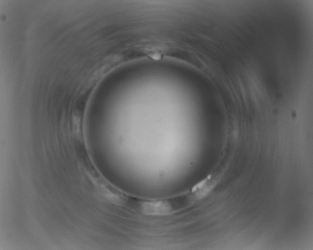 X0000052550281200507011138