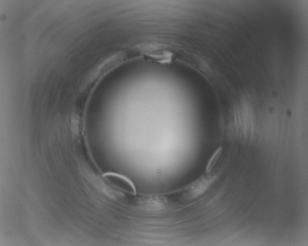 X0000052550282200507011138