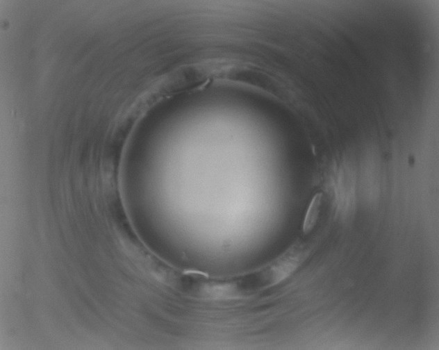 X0000052550283200507011138