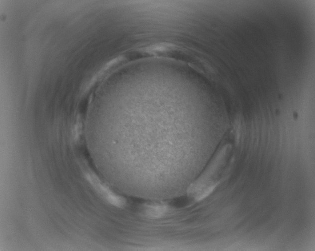 X0000052550284200507011138