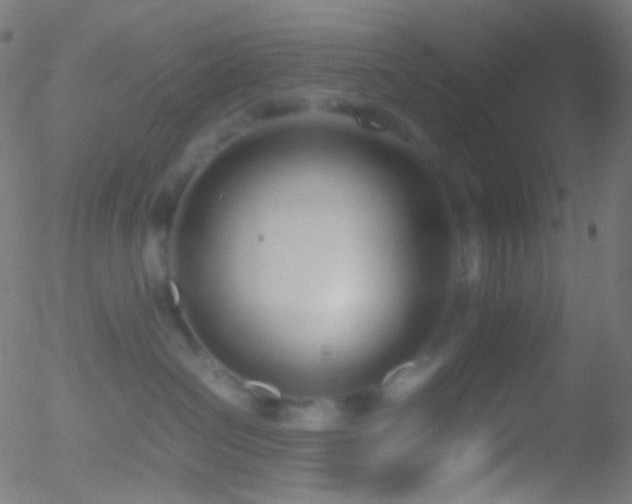 X0000052550286200507011138