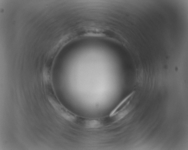 X0000052550287200507011138