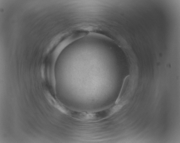 X0000052550288200507011138