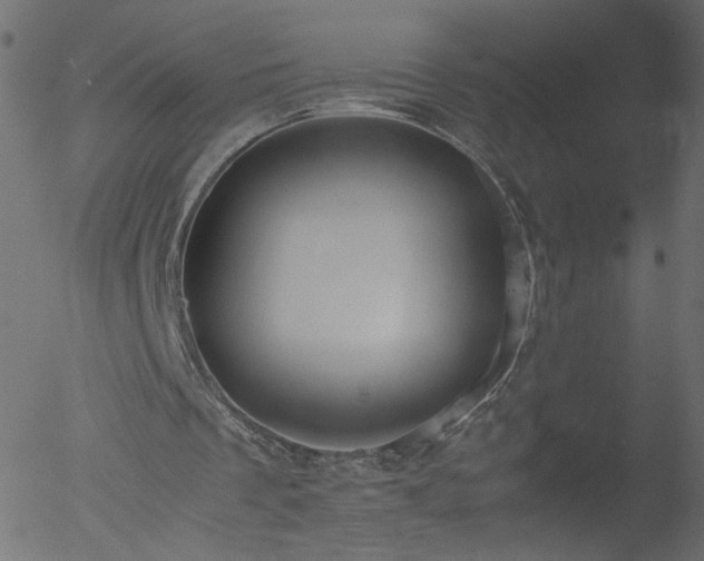 X0000052550289200507011137