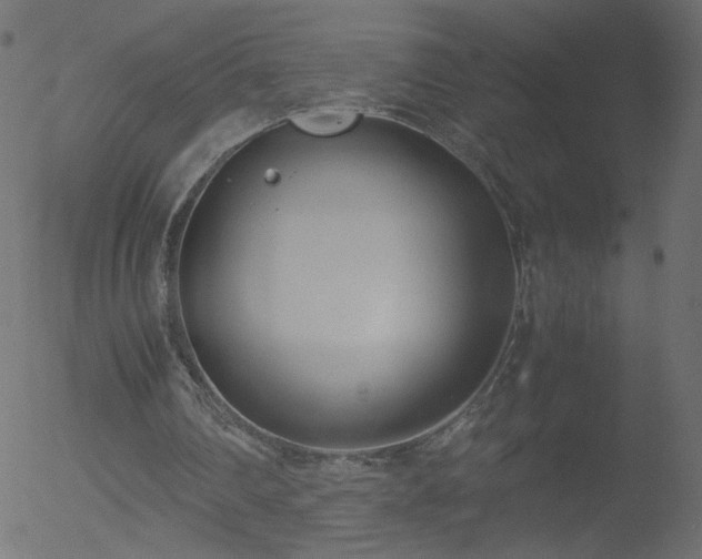 X0000052550290200507011137