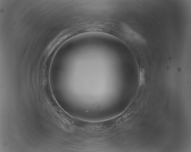 X0000052550291200507011137