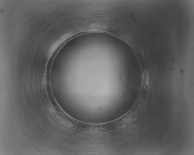 X0000052550292200507011137