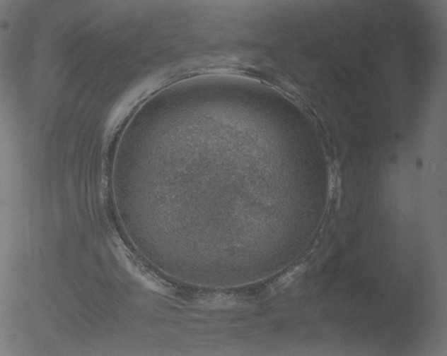 X0000052550293200507011137