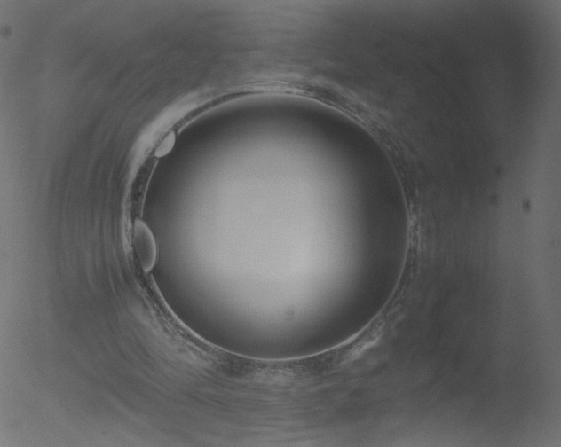 X0000052550294200507011137