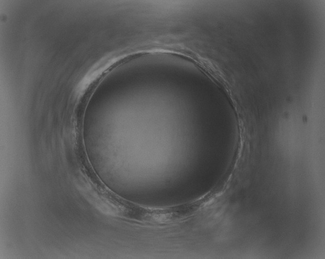 X0000052550295200507011137