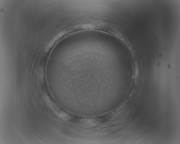 X0000052550297200507011137