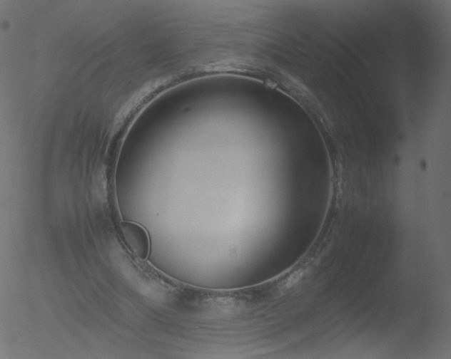 X0000052550298200507011137