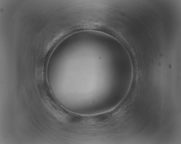 X0000052550299200507011137