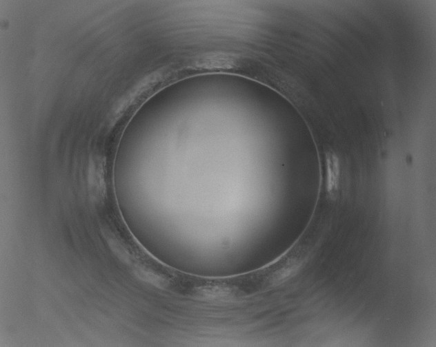 X0000052550300200507011137