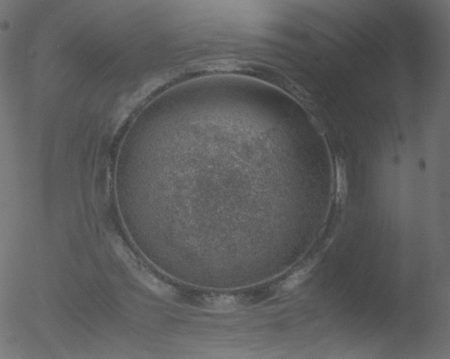 X0000052550301200507011137