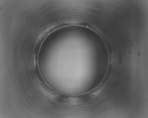 X0000052550302200507011137