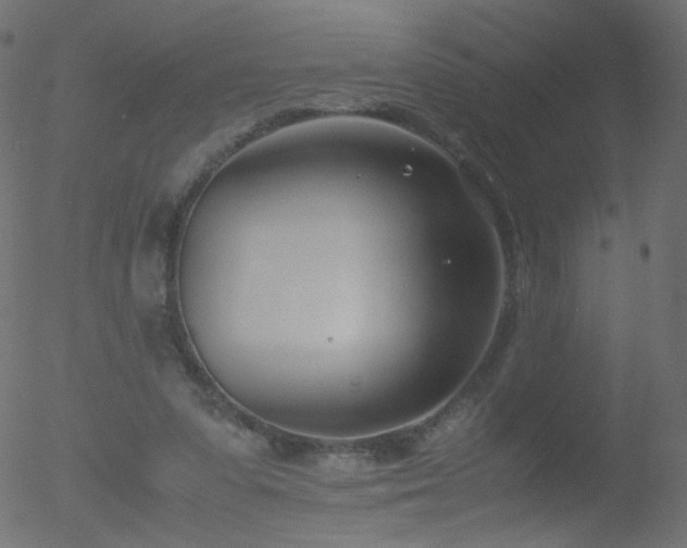 X0000052550303200507011137