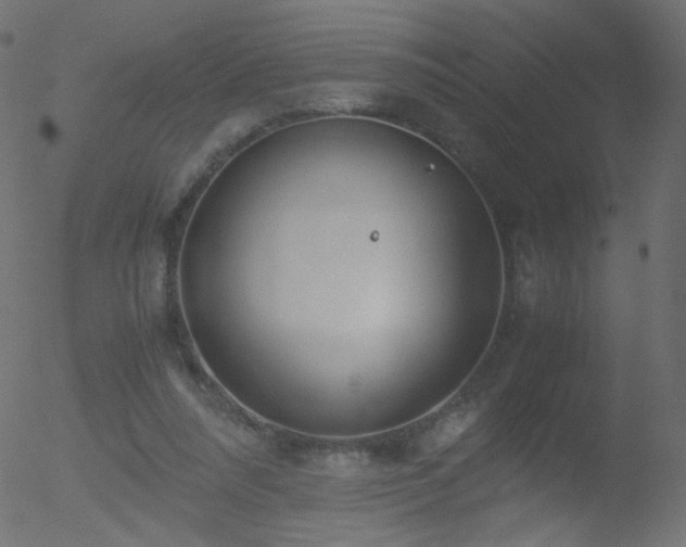 X0000052550304200507011137