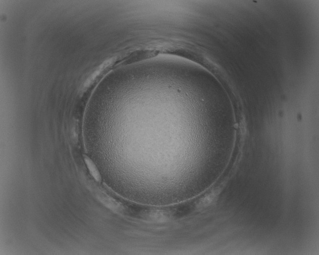 X0000052550305200507011137