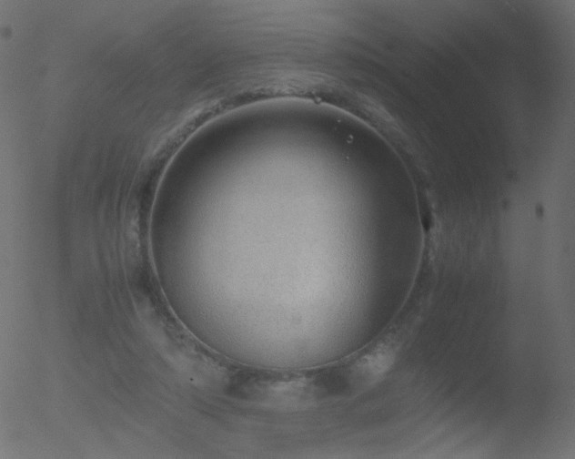 X0000052550306200507011137