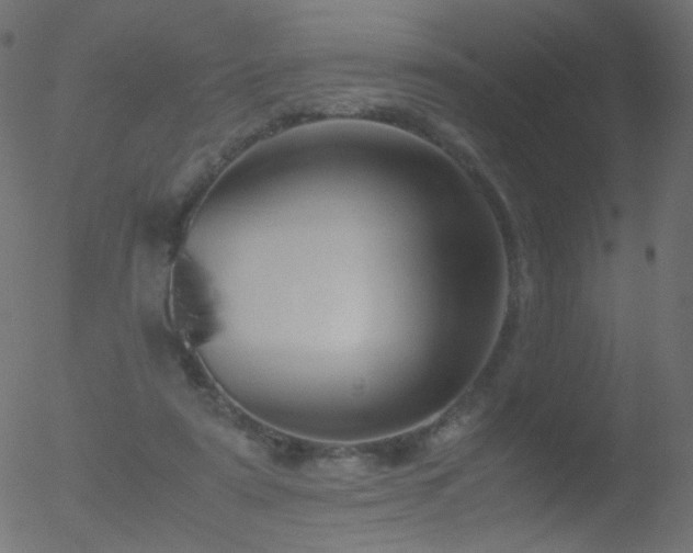 X0000052550307200507011137