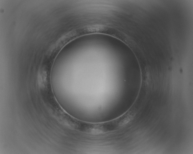 X0000052550308200507011137