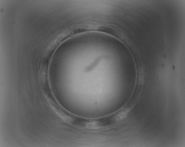 X0000052550309200507011137