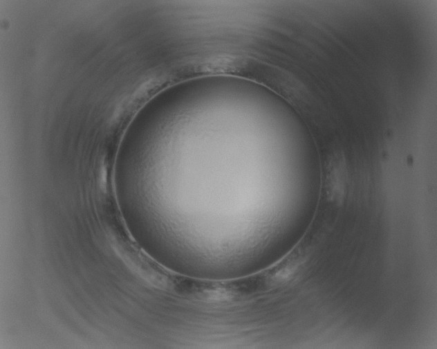 X0000052550310200507011137