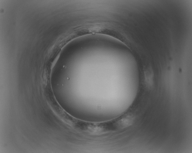 X0000052550311200507011137