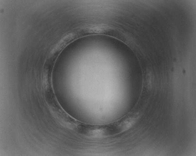 X0000052550312200507011137