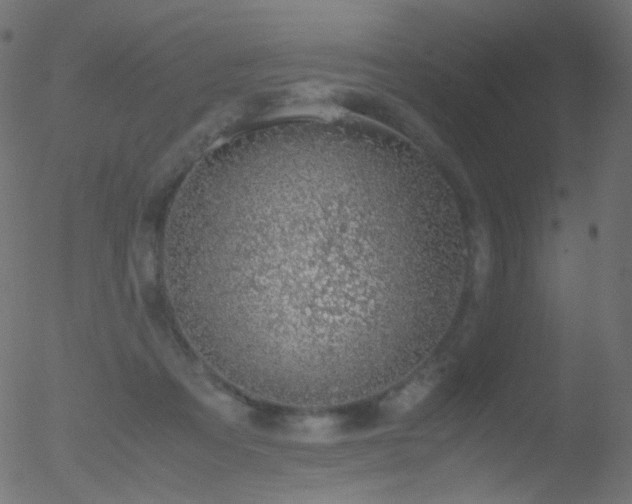 X0000052550313200507011137