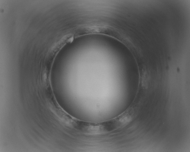 X0000052550314200507011137