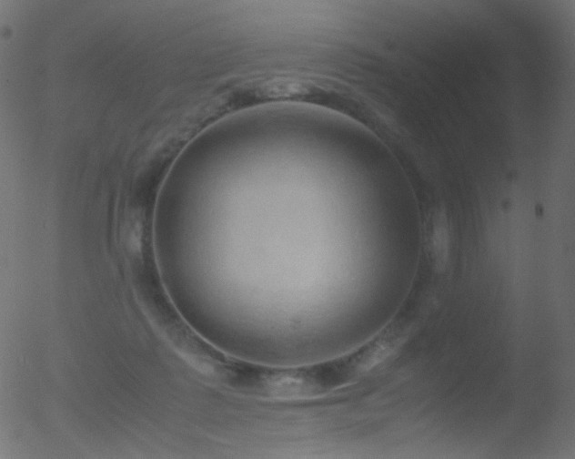 X0000052550315200507011137