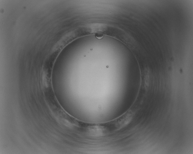 X0000052550316200507011137