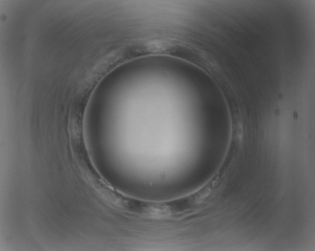 X0000052550317200507011137