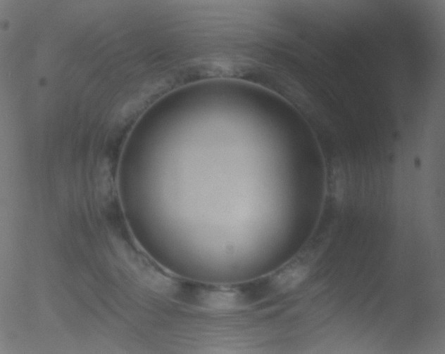 X0000052550318200507011137