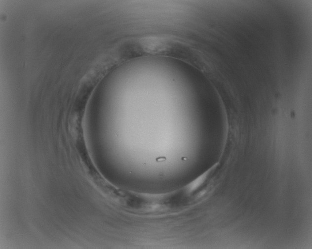 X0000052550319200507011137