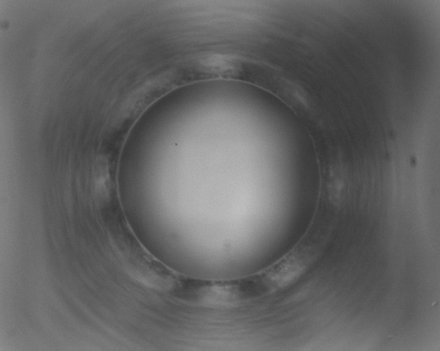 X0000052550320200507011137