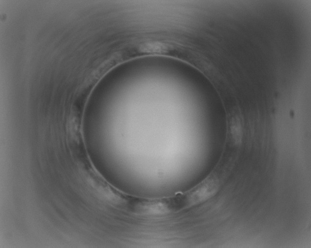 X0000052550322200507011137