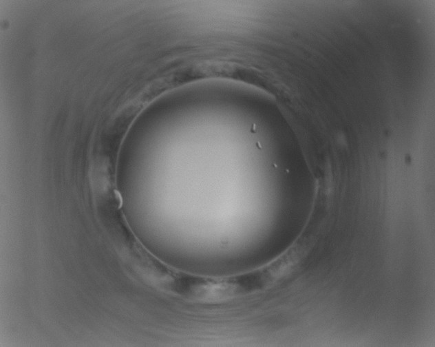 X0000052550323200507011137